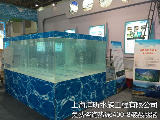 北京農業展覽館定做亞克力魚缸